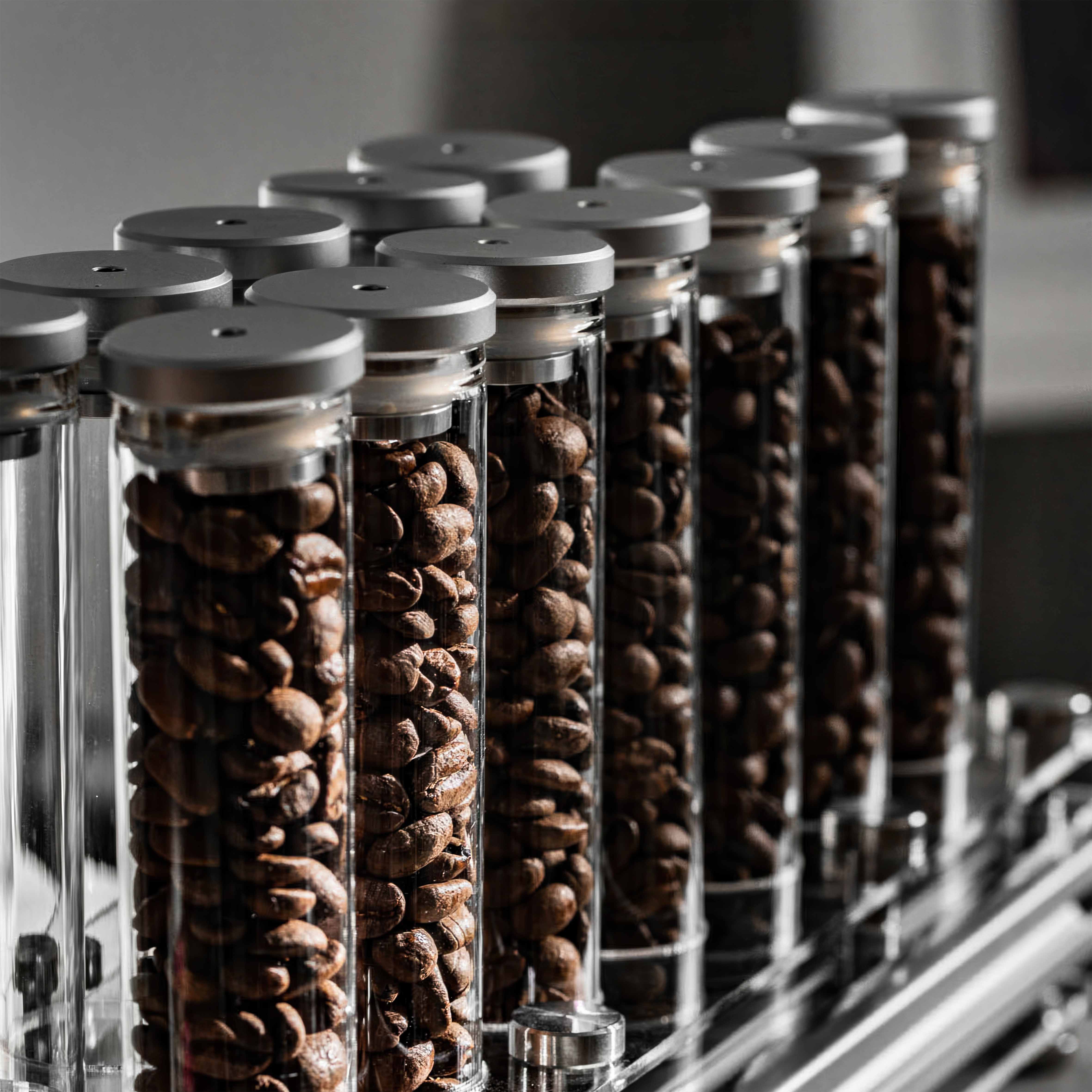 Coffee Bean Storage Bottle with One Way Valve - Lastaforest