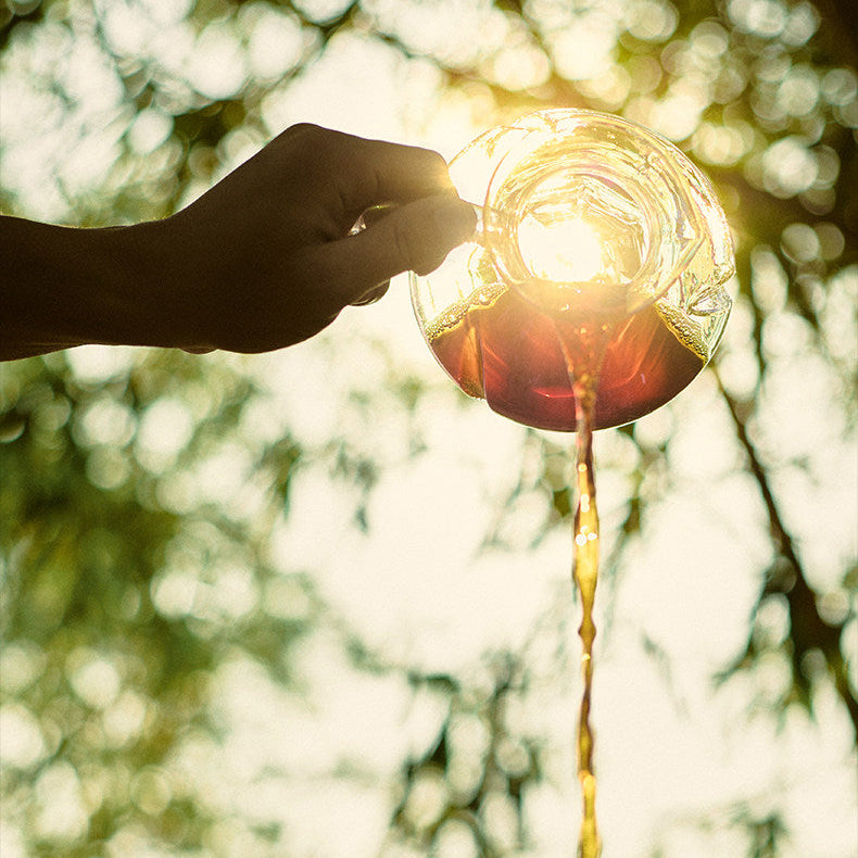 Tornado Coffee Sharing Pot 450ml