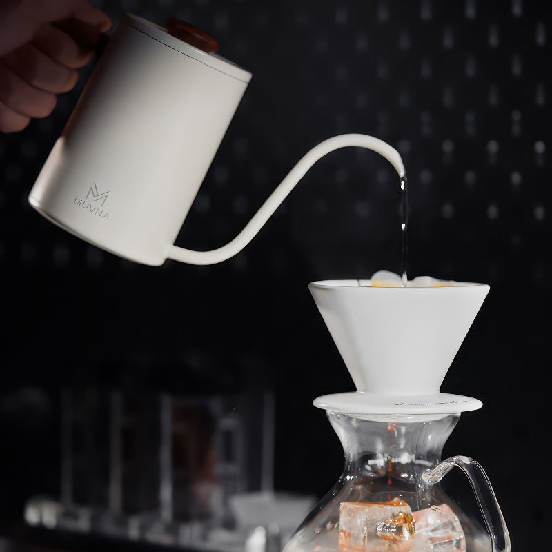 Schwanenhals-Pour-Over-Kessel