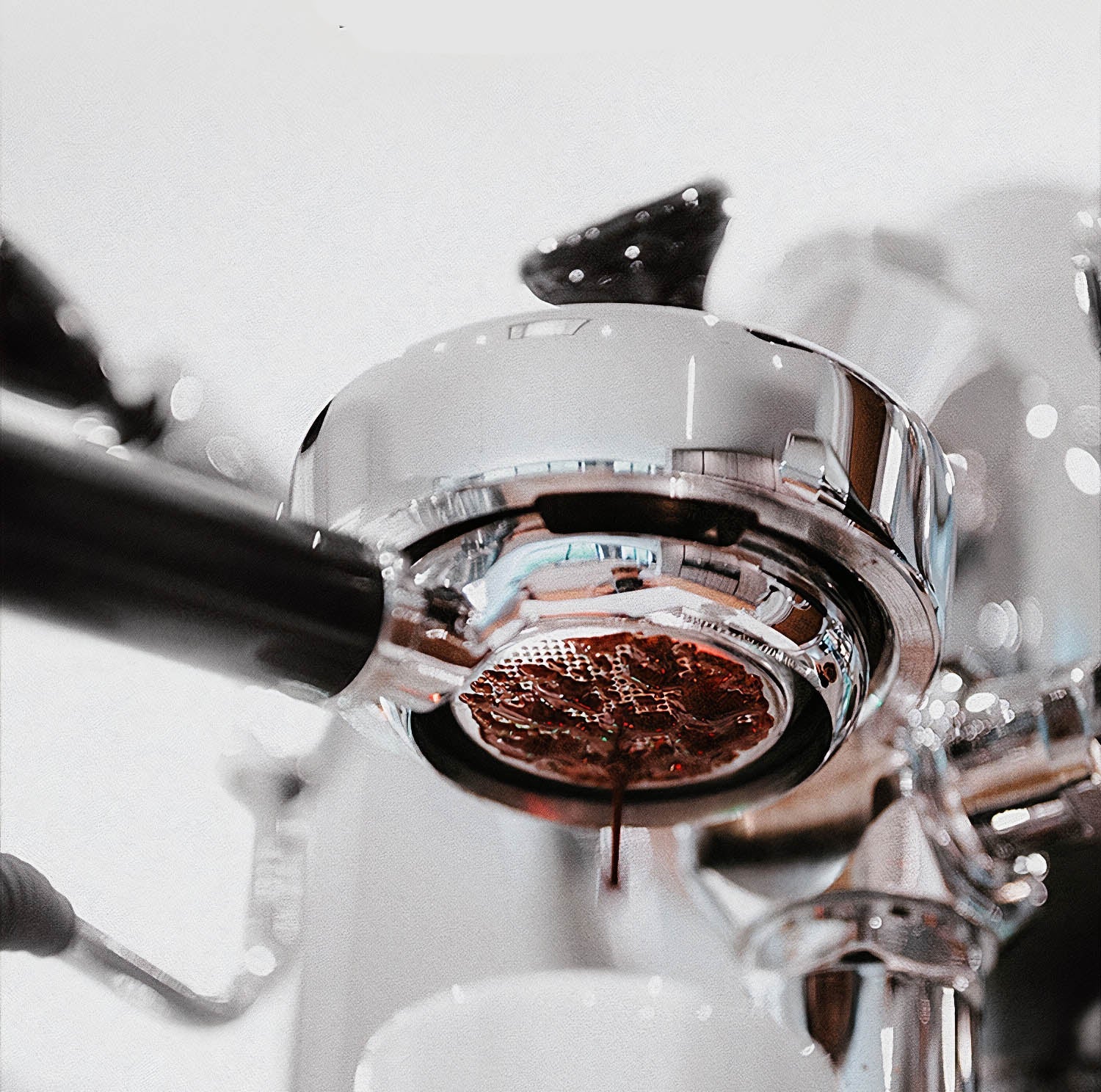 Gaggia Bottomless Portafilter with Wooden Handle and Stainless Steel - Lastaforest