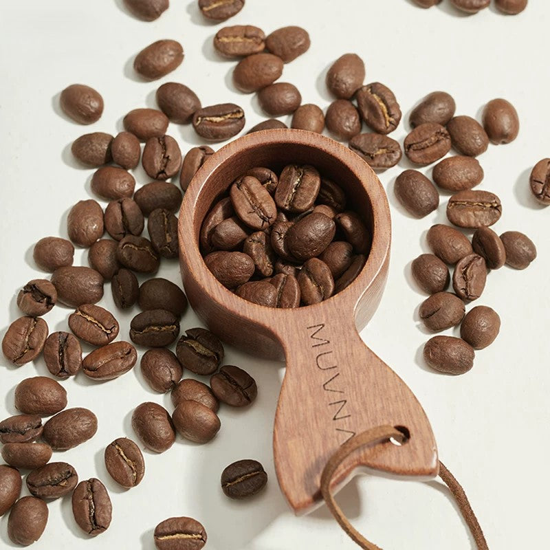 Walnut Coffee Measuring Spoon