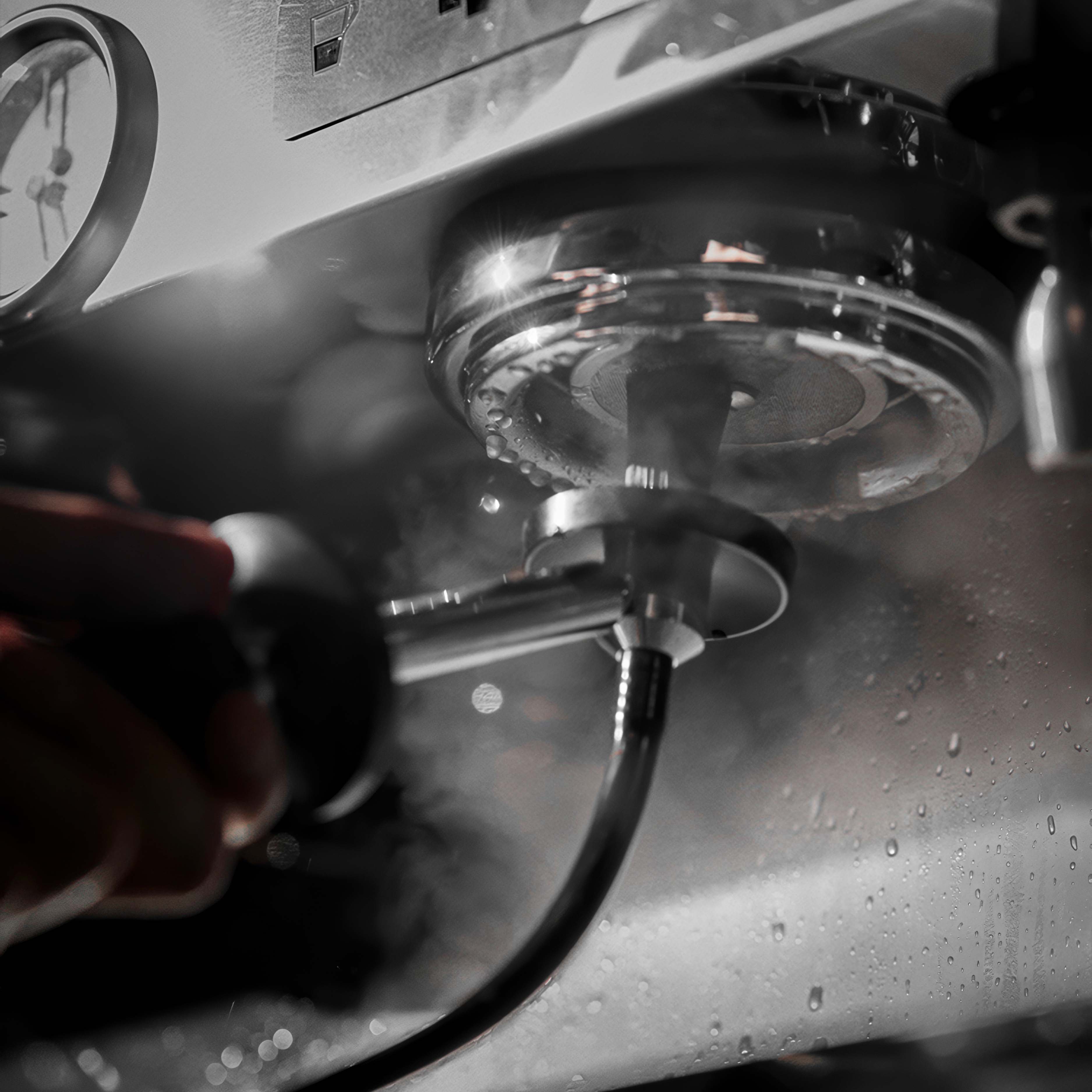 Espresso Coffee Machine Steam Cleaning Brush - MUVNA - Lastaforest